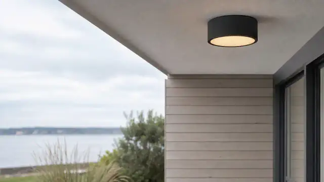 Udendørs loftlamper
